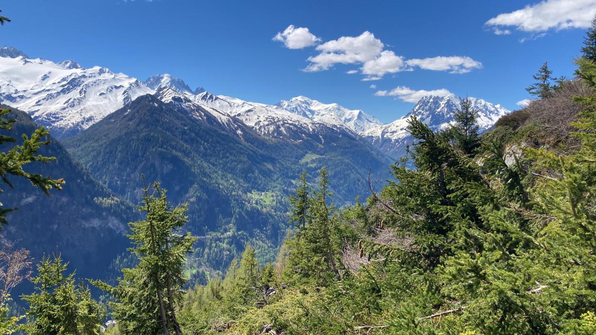 Bel Appartement 2.5 Pieces Avec Balcon, Magnifique Vue Sur Le Glacier Des Grands Finhaut Kültér fotó